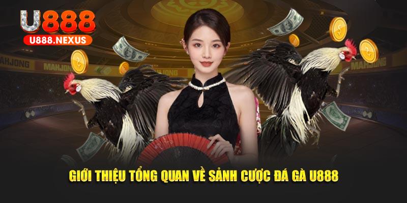 Giới thiệu tổng quan về sảnh cược đá gà U888