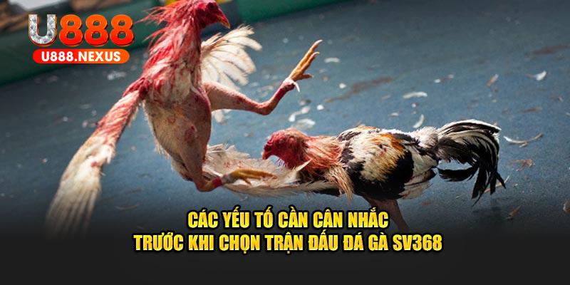 Các yếu tố cần cân nhắc trước khi chọn trận đấu đá gà SV368