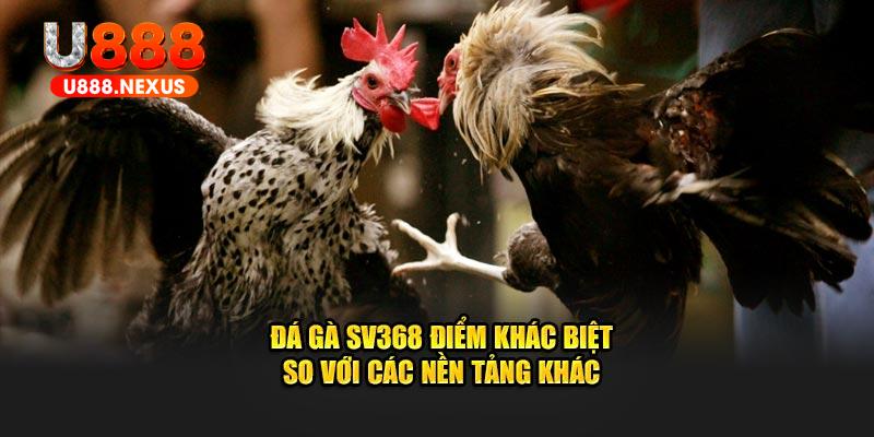 Đá gà SV368 điểm khác biệt so với các nền tảng khác