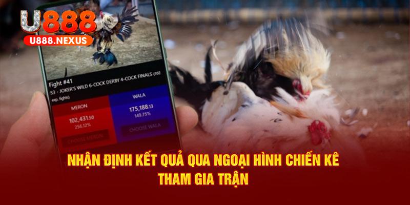 Nhận định kết quả qua ngoại hình chiến kê tham gia trận 