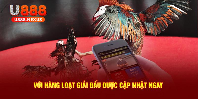 Với hàng loạt giải đấu được cập nhật ngay 